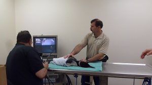 Dr. Franks finalizing settings while Mark monitors the bird.