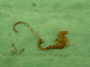 SUCCESS! Hooks, line and other fishing tackle does NOT belong in birds. 