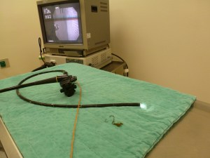 The removed hooks and line with the equipment that made it possible.