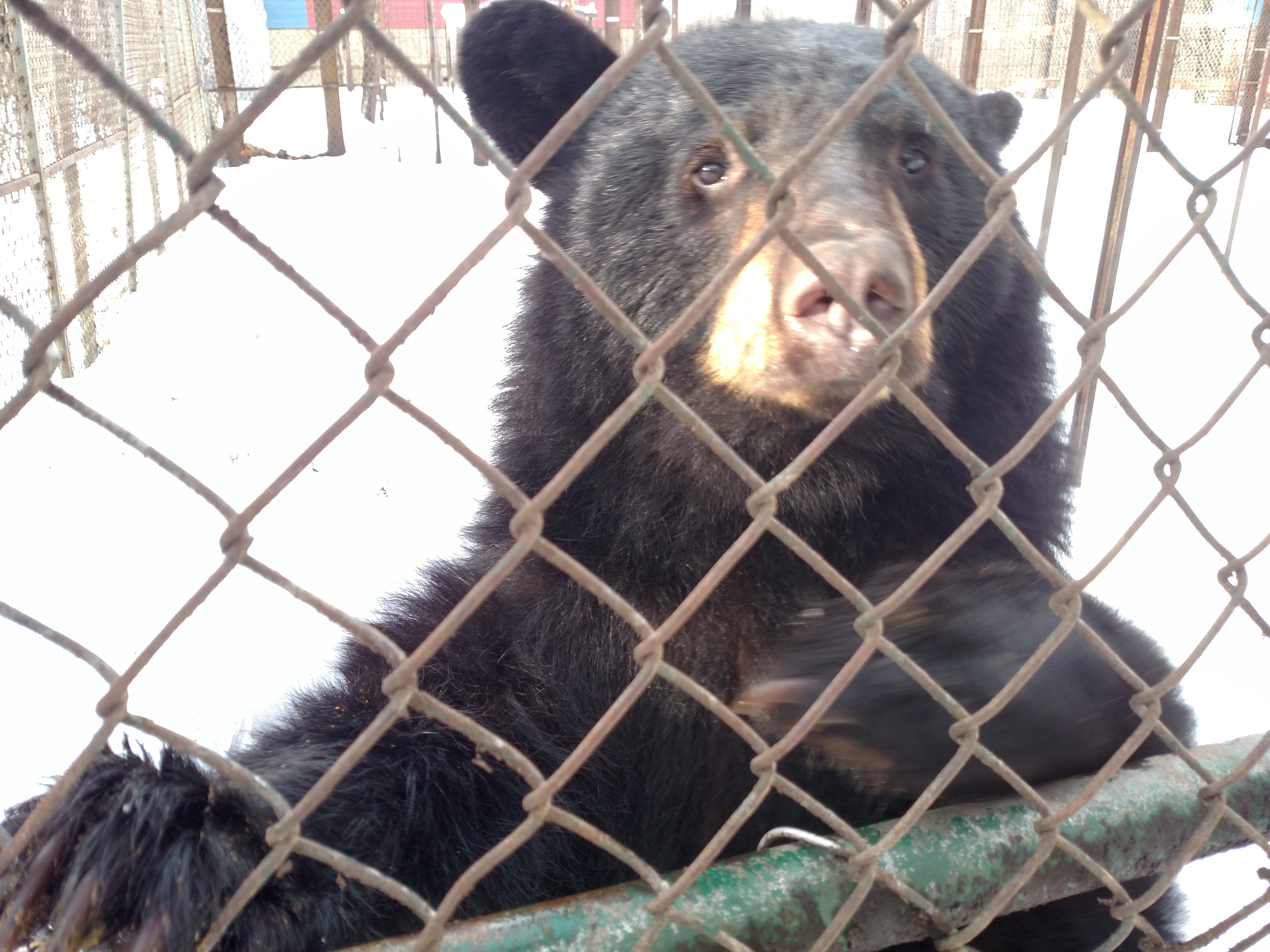 img_20161226_100941839